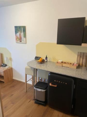 1 Zimmer Appartement Nahe Gmunden Top2 Pinsdorf Exterior photo